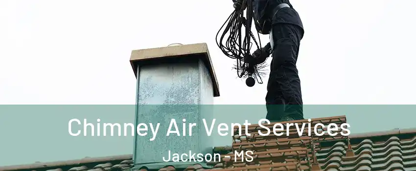  Chimney Air Vent Services Jackson - MS