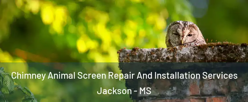  Chimney Animal Screen Repair And Installation Services Jackson - MS