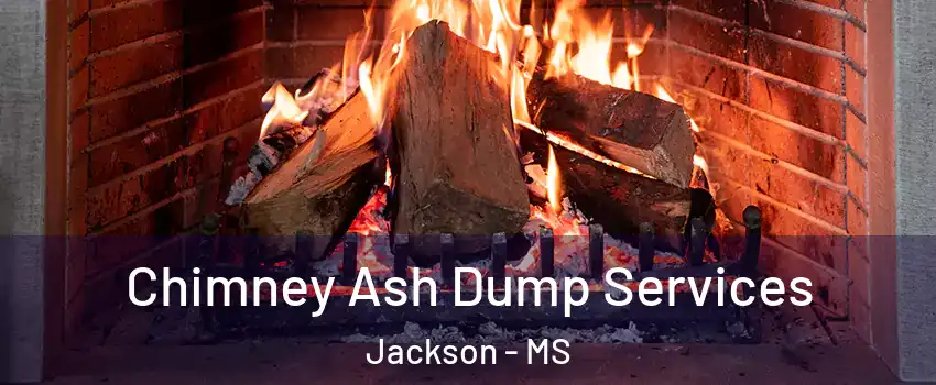  Chimney Ash Dump Services Jackson - MS