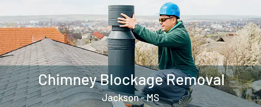  Chimney Blockage Removal Jackson - MS