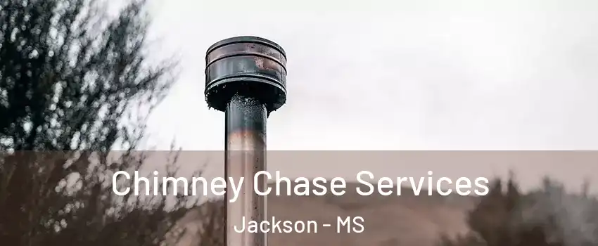  Chimney Chase Services Jackson - MS