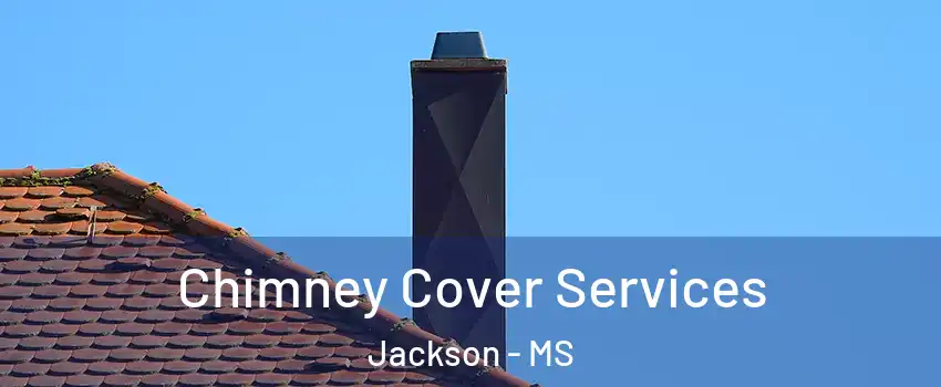  Chimney Cover Services Jackson - MS