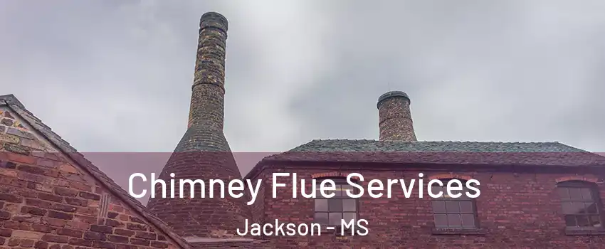  Chimney Flue Services Jackson - MS