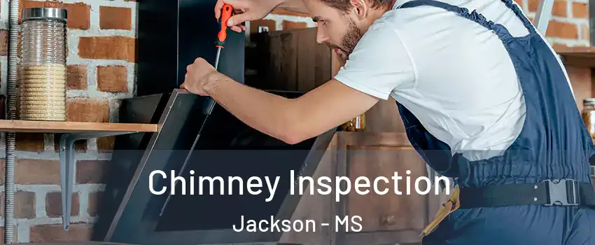  Chimney Inspection Jackson - MS