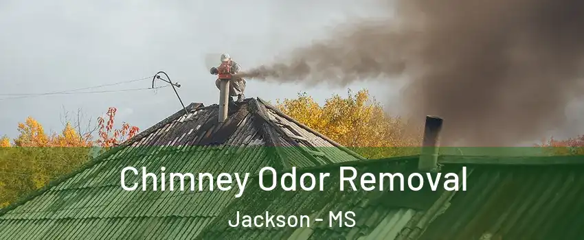  Chimney Odor Removal Jackson - MS