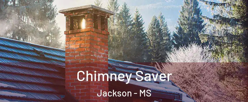 Chimney Saver Jackson - MS