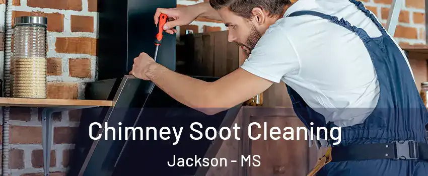  Chimney Soot Cleaning Jackson - MS