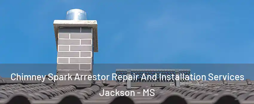  Chimney Spark Arrestor Repair And Installation Services Jackson - MS