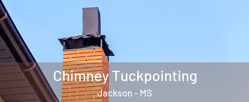  Chimney Tuckpointing Jackson - MS