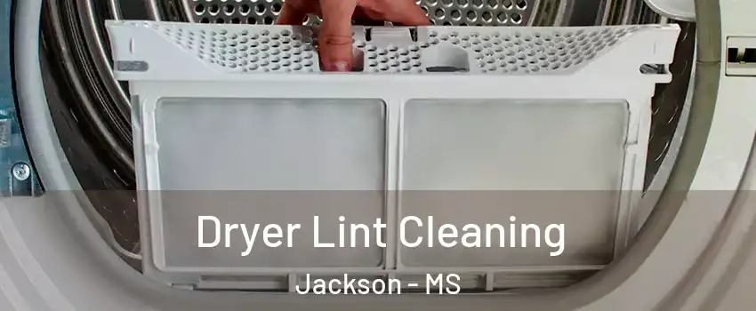  Dryer Lint Cleaning Jackson - MS