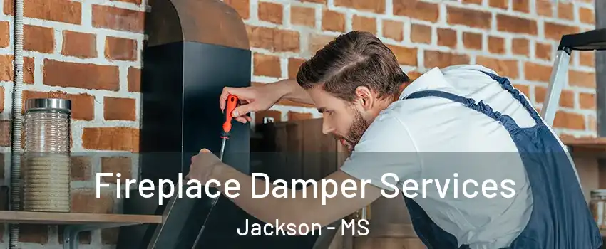  Fireplace Damper Services Jackson - MS