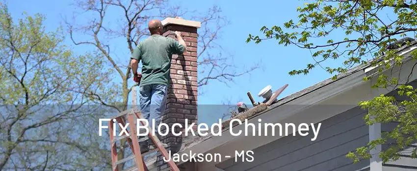  Fix Blocked Chimney Jackson - MS