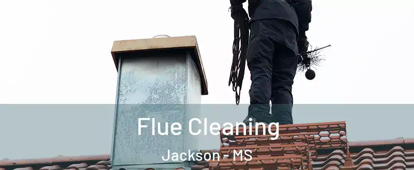  Flue Cleaning Jackson - MS