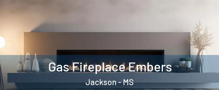  Gas Fireplace Embers Jackson - MS