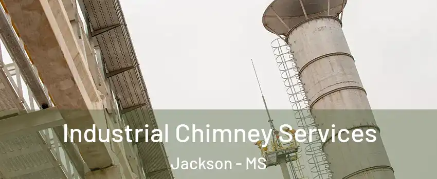  Industrial Chimney Services Jackson - MS