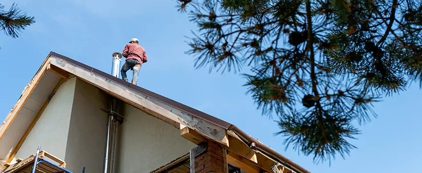 Birds Removal Contractors from Chimney in Jackson, MS