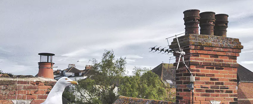 Chimney Cleaning And Restoration in Jackson, Mississippi