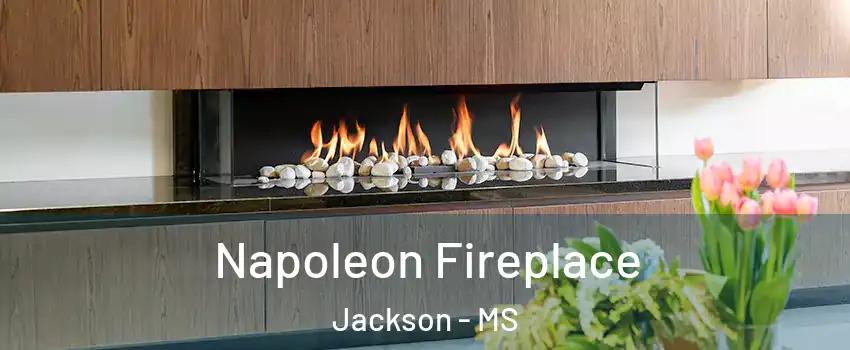  Napoleon Fireplace Jackson - MS